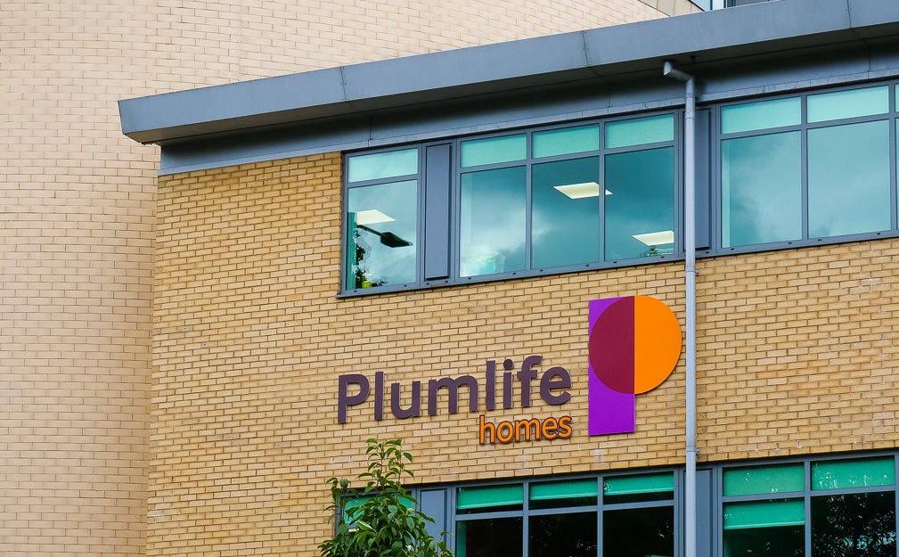 Stories and News Plumlife